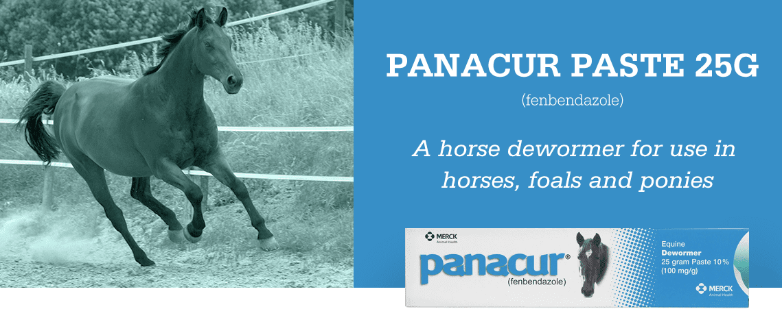 Panacur Horse