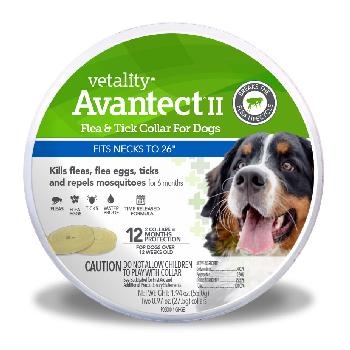 Vetality Avantect II Flea & Tick Collar for Dogs, fits neck to 26 inches, 12 month protection, 2 ct