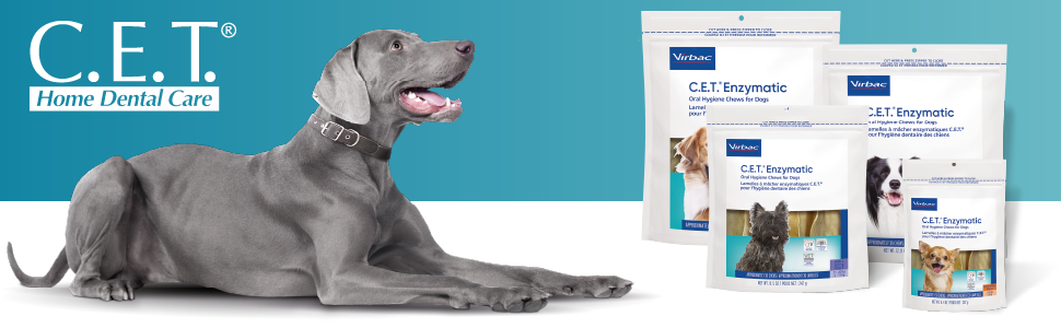 CET dental care for dogs
