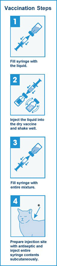 Vaccine Steps