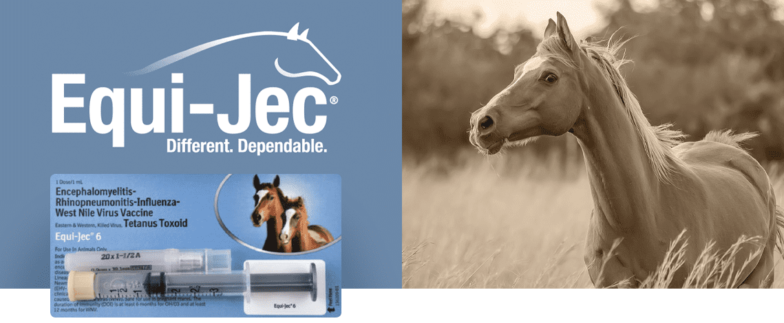 Equi-Jec Horse Vaccines