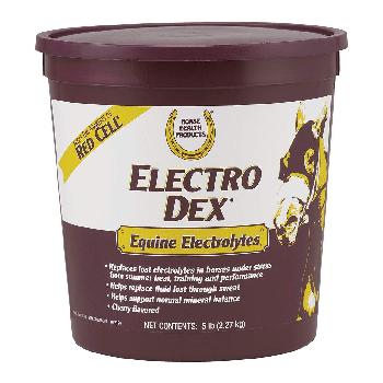 Electrolyte Supplements