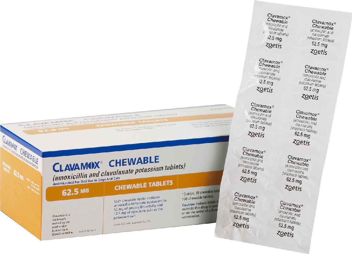 Rx Clavamox Chew Tabs 62.5 mg X 10 ct , discount pet pharmacy, shop