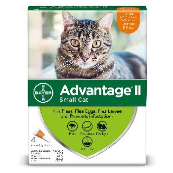 Bayer Advantage II Small Cat 5-9 lb   4 Dose 