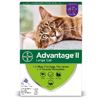 Advantage II Flea Treatment for Large Cats, 9 lbs and over, 6 doses