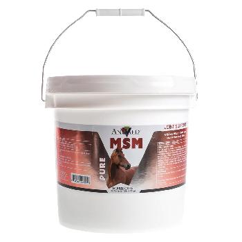 AniMed Pure MSM Horse Supplement 10 pounds