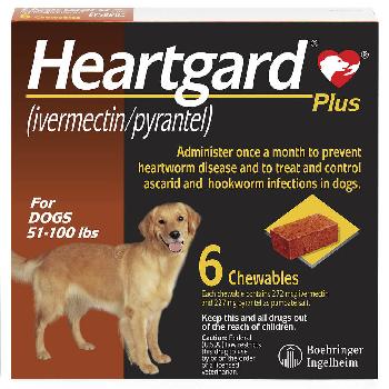 HEARTGARD Plus Chewables for Dogs, 51-100 lbs, 6 chewables
