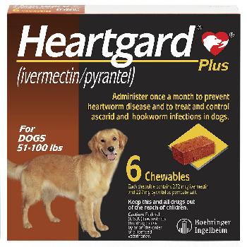 HEARTGARD Plus Chewables for Dogs, 51-100 lbs, 6 chewables