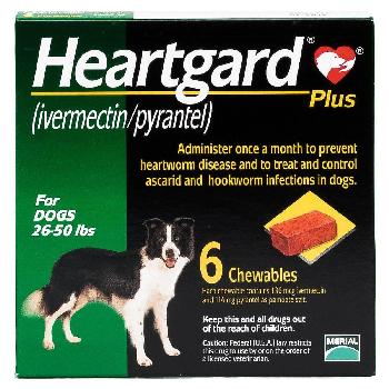 HEARTGARD Plus Chewables for Dogs, 26-50 lbs, 6 chewables