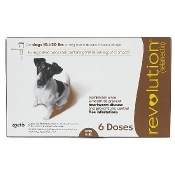 Revolution Dogs 10.1–20 lbs, 6 doses, 60 mg selamectin