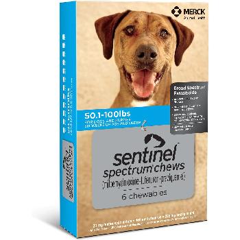 Sentinel Spectrum Chews (milbemycin oxime/lufenuron/praziquantel) for Large Dogs, 50-100 pounds, 6 doses